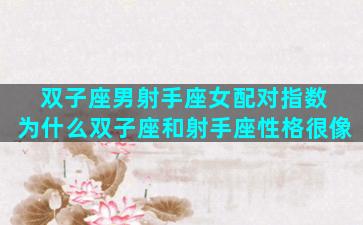 双子座男射手座女配对指数 为什么双子座和射手座性格很像